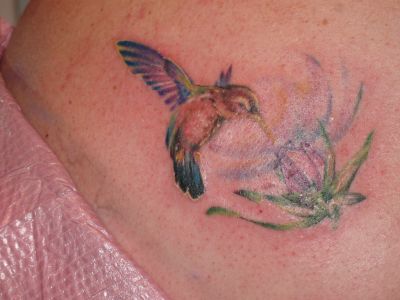 A hummingbird flying on flower. Birds tattoos, Humming Bird tattoos, Tattoos of Birds, Tattoos of Humming Bird, Birds tats, Humming Bird tats, Birds free tattoo designs, Humming Bird free tattoo designs, Birds tattoos picture, Humming Bird tattoos picture, Birds pictures tattoos, Humming Bird pictures tattoos, Birds free tattoos, Humming Bird free tattoos, Birds tattoo, Humming Bird tattoo, Birds tattoos idea, Humming Bird tattoos idea, Birds tattoo ideas, Humming Bird tattoo ideas, Hummingbird tattoos
